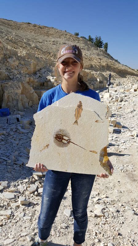 wyoming fossils kemmerer.